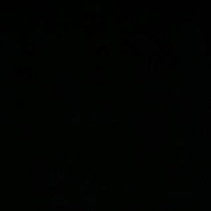 Meet your Posher, Dustin